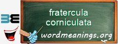 WordMeaning blackboard for fratercula corniculata